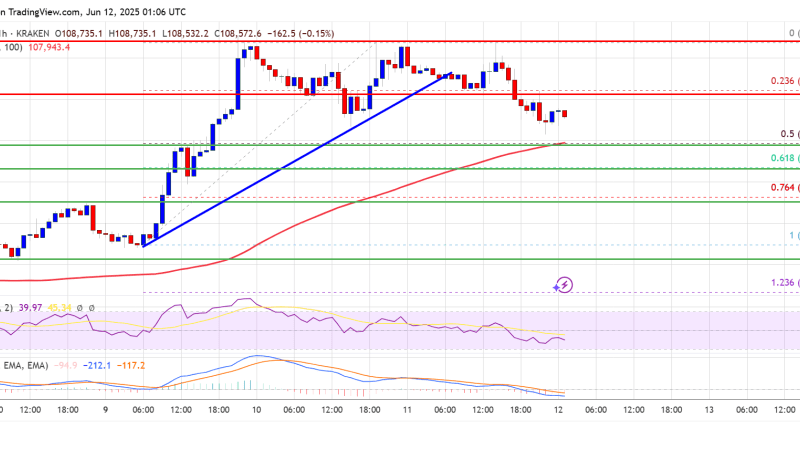 Bitcoin Price Fails at $110K—Is the Rally Running Out of Steam?