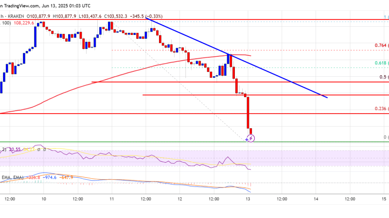 Bitcoin Price Nosedives—Profit-Taking Sparks Sudden Correction