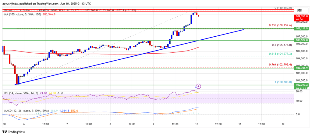 Bitcoin Price Rises Again—Are Bulls Charging Toward a New All-Time High?