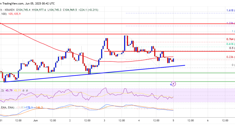 Bitcoin Price Slips Again, Triggering Fresh Fears of a Deeper Correction