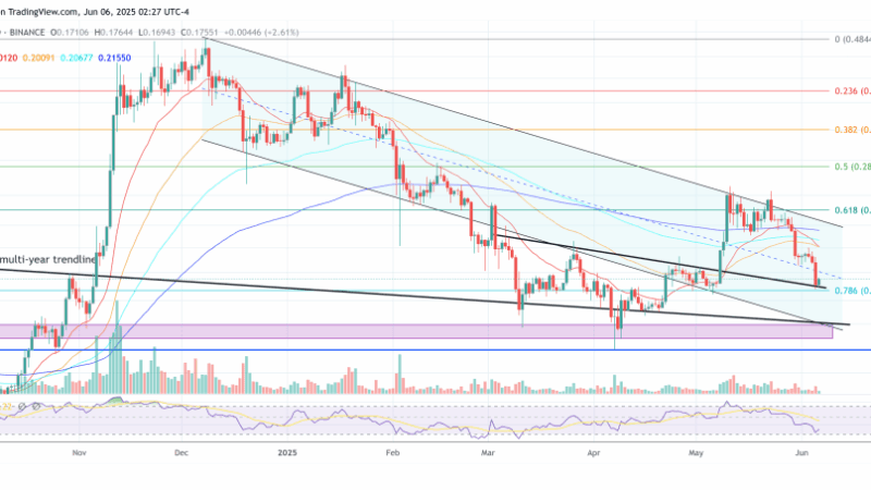 Bloodbath Incoming? Dogecoin Must Hold This Level To Survive