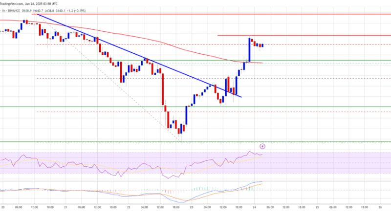 BNB Price Gathers Strength — Upside Potential Looms