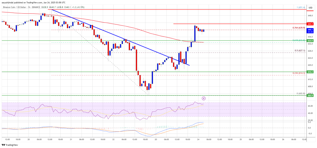 BNB Price Gathers Strength — Upside Potential Looms