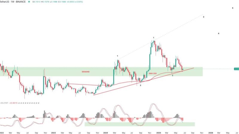 Dogecoin About To Explode? ‘Don’t Send It Too Hard,’ Analyst Warns
