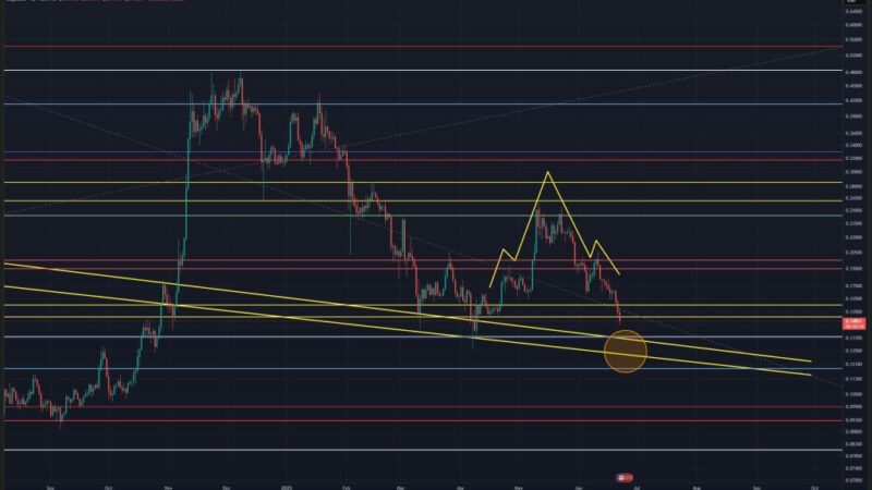 Dogecoin Crash Far From Over? Analyst Reveals The Target