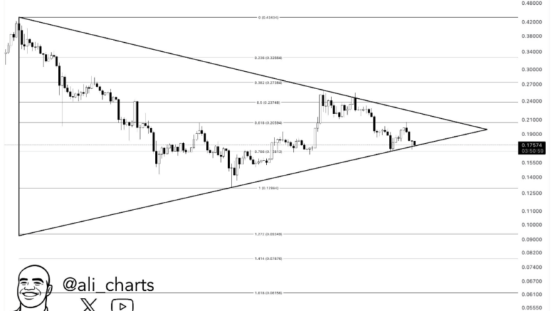 Dogecoin Danger: A Dip Under $0.16 Could Trigger A 30% Crash—Analyst