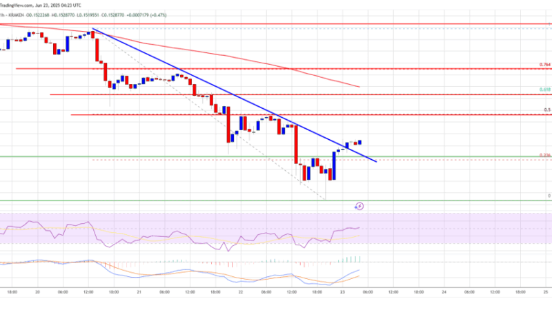 Dogecoin (DOGE) Eyes Upside After Crash, Yet Resistance Levels Cap Momentum