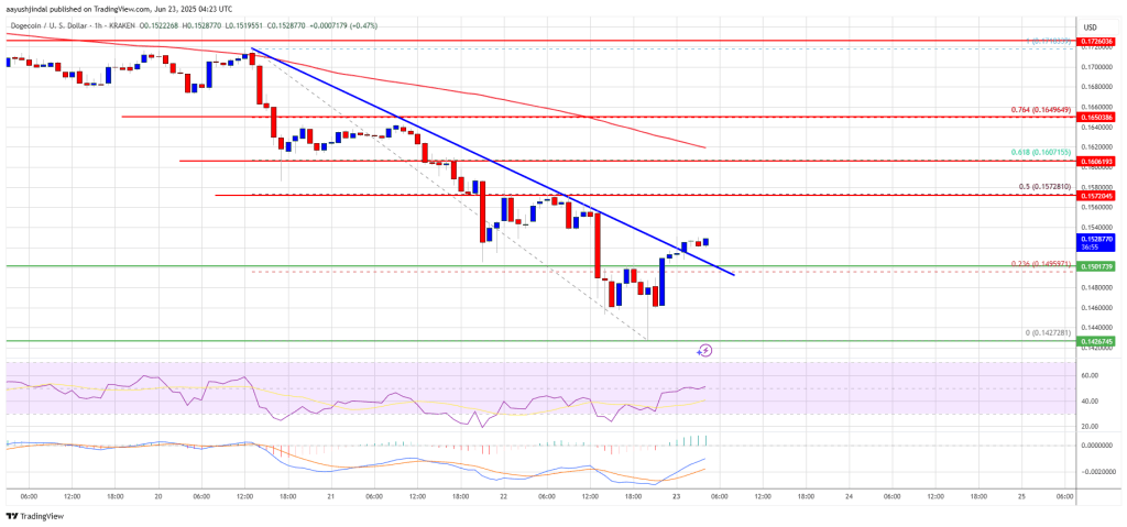 Dogecoin (DOGE) Eyes Upside After Crash, Yet Resistance Levels Cap Momentum