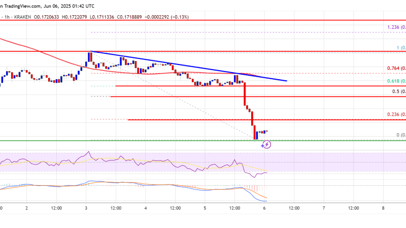 Dogecoin (DOGE) Gains Bearish Momentum: A Buying Opportunity or Warning Sign?