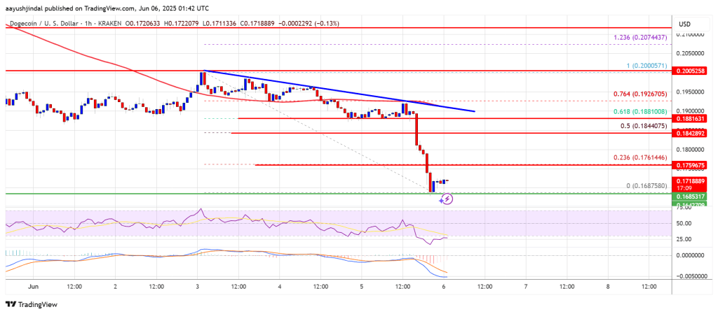 Dogecoin (DOGE) Gains Bearish Momentum: A Buying Opportunity or Warning Sign?
