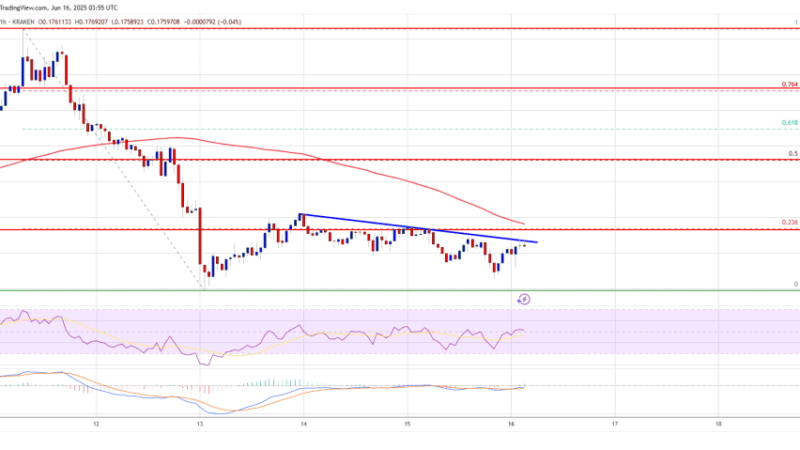 Dogecoin (DOGE) Slips Once More—Bears Tighten Grip on Meme Coin Darling