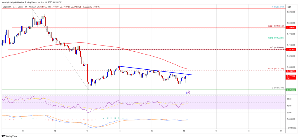 Dogecoin (DOGE) Slips Once More—Bears Tighten Grip on Meme Coin Darling