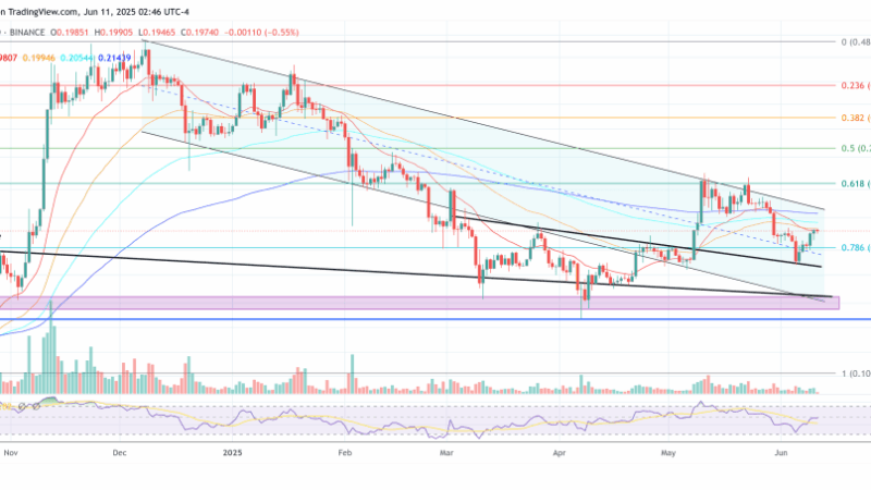 Dogecoin Faces Make-Or-Break Moment This Month, Predicts Analyst
