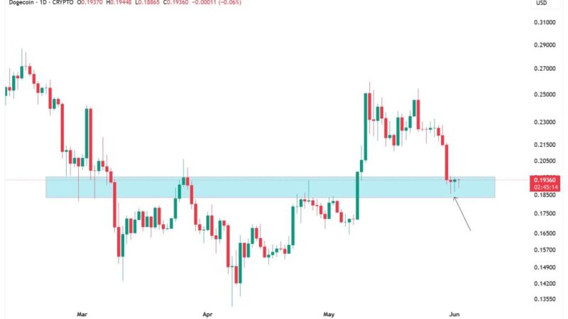 Dogecoin’s Fate Hinges On This Price Level, Analysts Agree