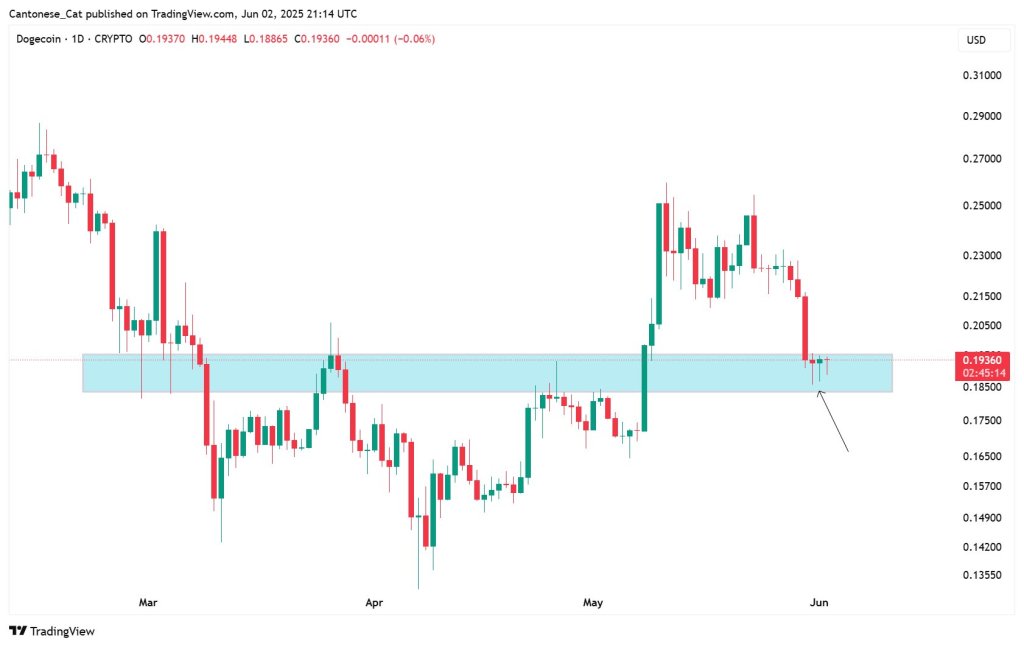 Dogecoin’s Fate Hinges On This Price Level, Analysts Agree