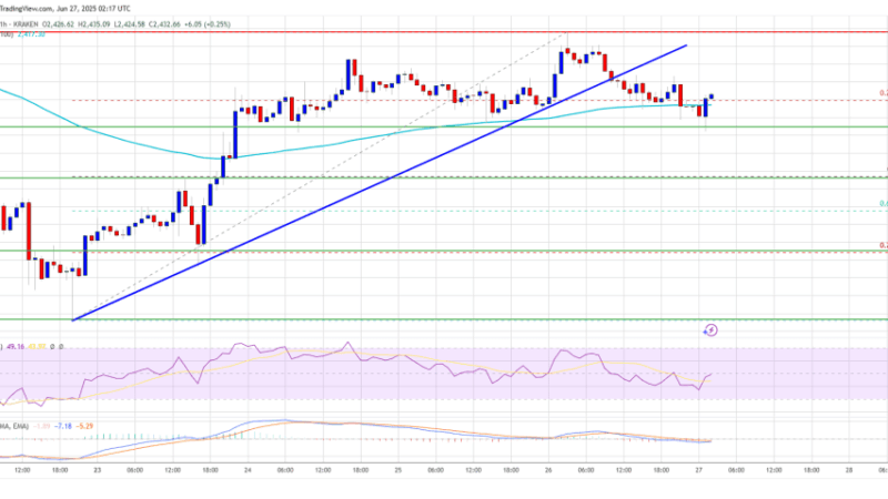 Ethereum Price Action Turns Bearish — Risk of Near-Term Correction