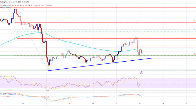 Ethereum Price Shows Weakness, Eyes Key Support as Bears Loom