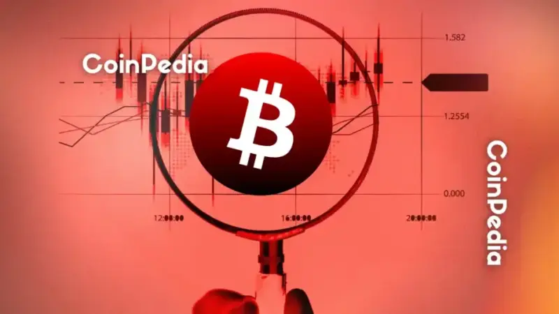 Global Corporations Bitcoin Holdings 2025