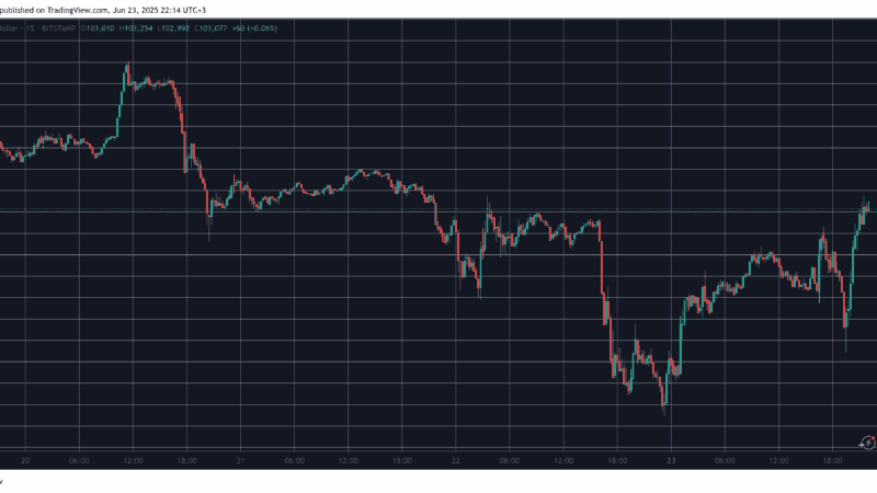 Over 130,000 Traders Wrecked as Bitcoin’s Price Goes on Wild Rollercoaster