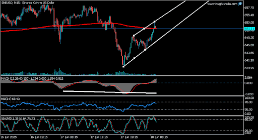 Price Pressure Builds: Can BNB Punch Through The Ceiling Or Will 640 Catch The Fall?