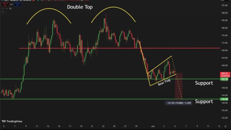 Solana Horizontal Support Under Pressure – Bearish Target At $142