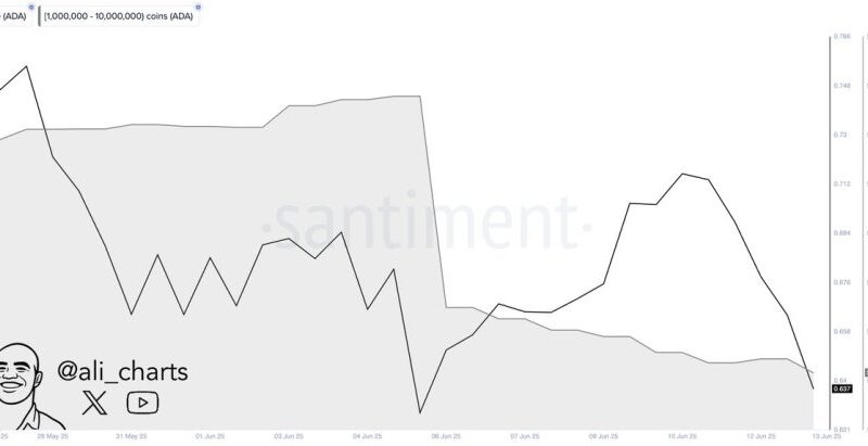 Whales Dump Over 270 Million Cardano In One Week – Bearish Signal Or Shakeout?
