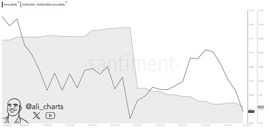 Whales Dump Over 270 Million Cardano In One Week – Bearish Signal Or Shakeout?
