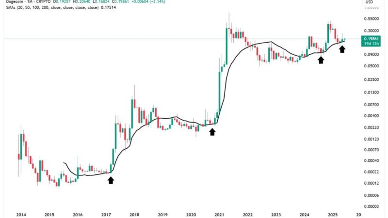 Will Dogecoin Moon Or Crash? This Indicator Holds The Answer