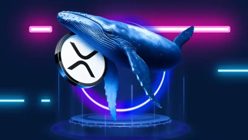 XRP Ledger Explodes with 800% Spike in Users: Is a Price Breakout Coming?
