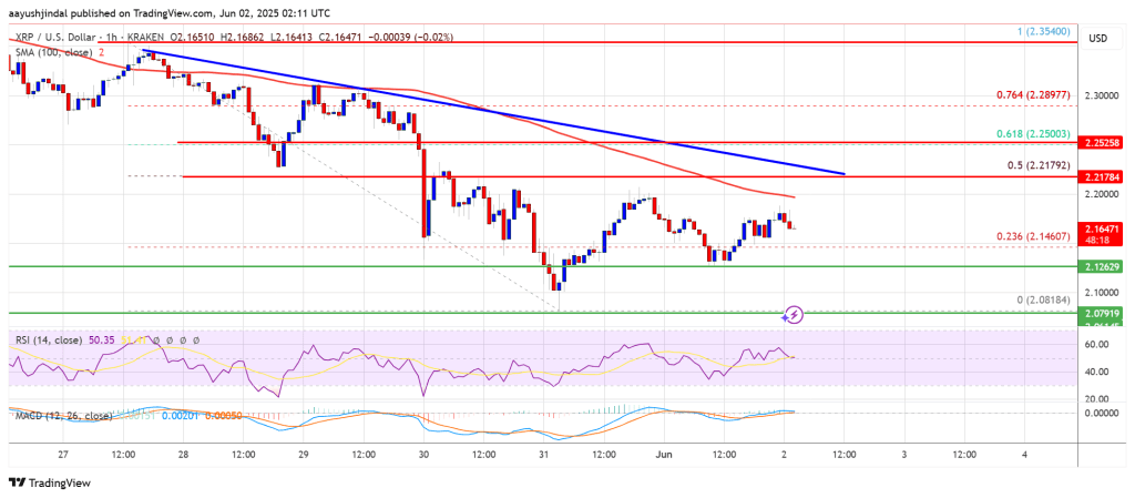 XRP Price at Risk of More Losses — Can Key Support Hold?