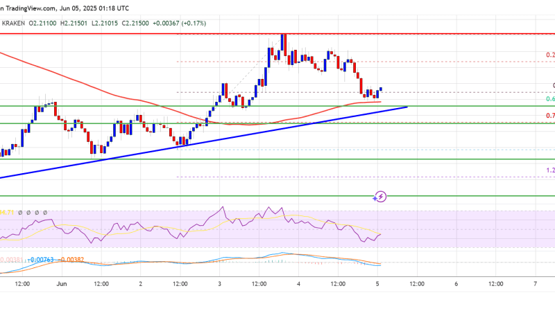 XRP Price Dips to Support: Is a Bullish Rebound on the Horizon?