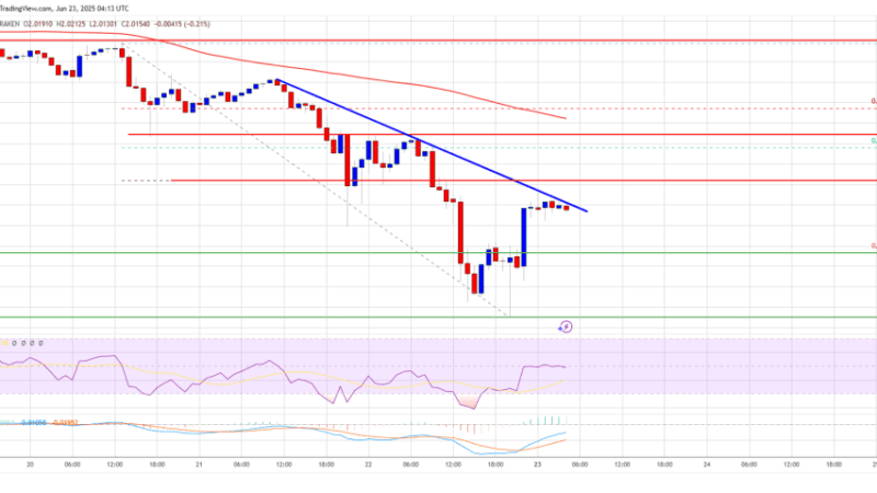 XRP Price Finds Some Relief, But Faces Headwinds on The Path Up