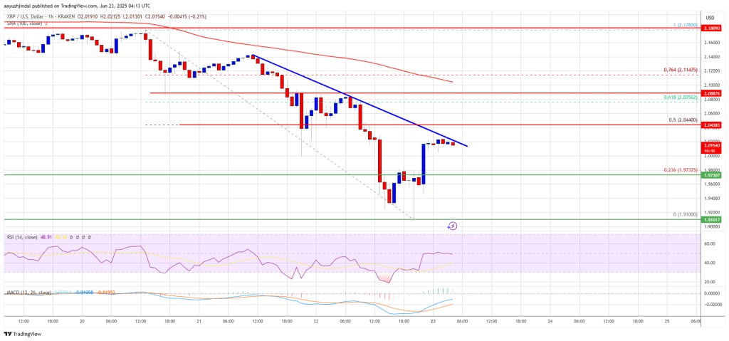 XRP Price Finds Some Relief, But Faces Headwinds on The Path Up