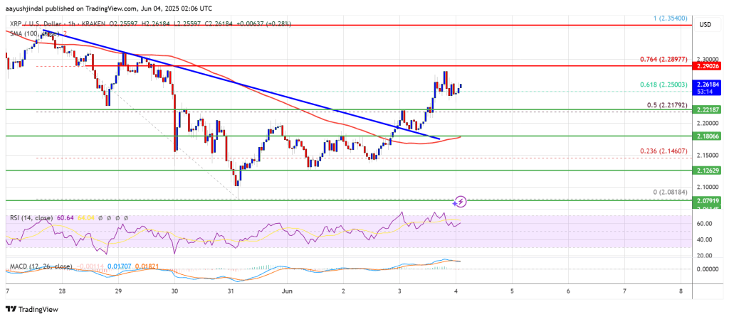XRP Price Gains Pace — Bulls Eye Break Above Resistance