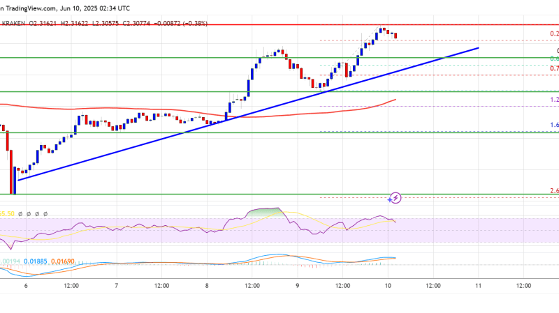 XRP Price Regains Traction, Can The Bulls Pump It This Time?
