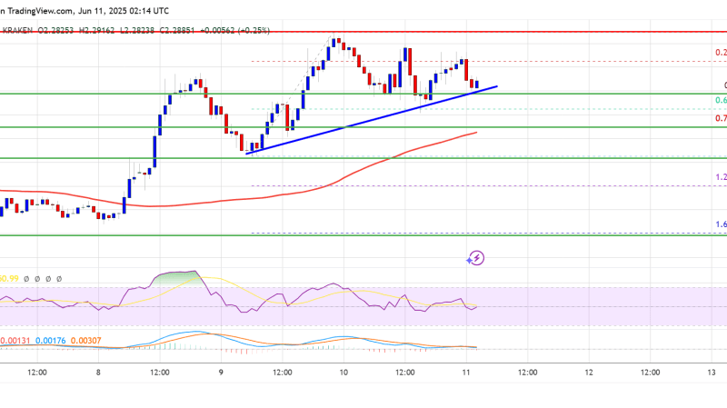 XRP Price Takes a Breather—Consolidation Phase or Bullish Setup?