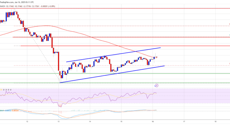 XRP Price Tries to Bounce Back—But Hurdles May Delay the Comeback