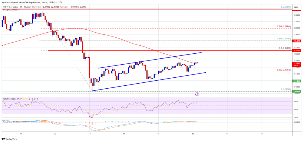 XRP Price Tries to Bounce Back—But Hurdles May Delay the Comeback