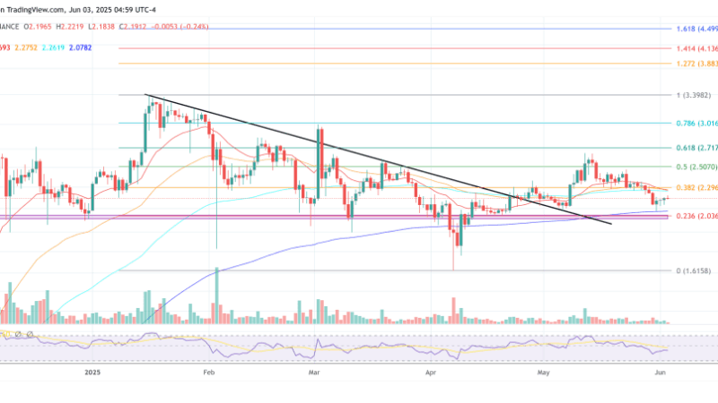 XRP Sell-Off Rumors Swirl After Expert Questions Ripple’s War Chest