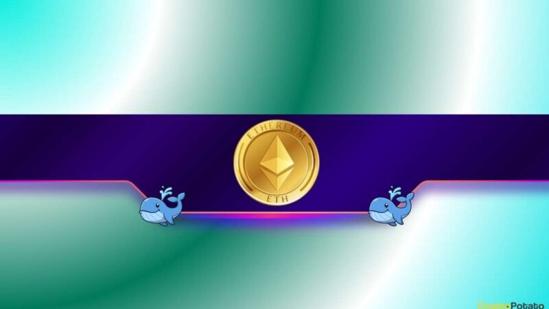 200,000 ETH in 2 Days: Is Ethereum’s Price Ready to Pump?
