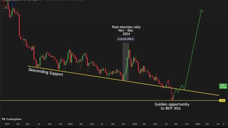 Altcoins Jump Off Critical Support Level – Relief Or Reversal?