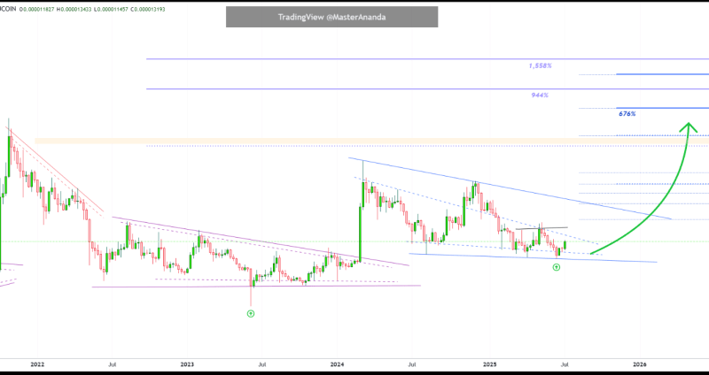 Analyst Sounds The Alarm: Shiba Inu Primed For Over 1,500% Breakout