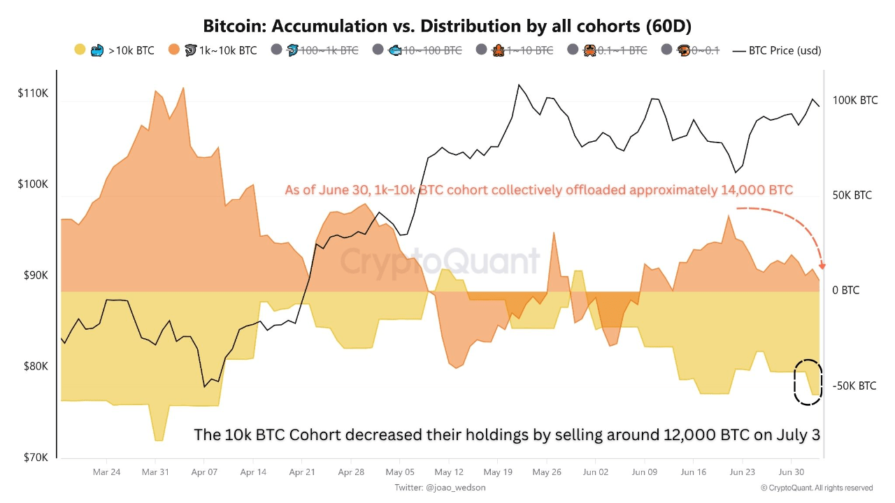 Are Bitcoin Retail Traders Back In The Market? On-Chain Data Suggests So
