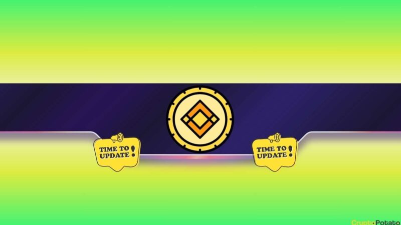 Binance Announced Changes: These Altcoins Felt the Impact
