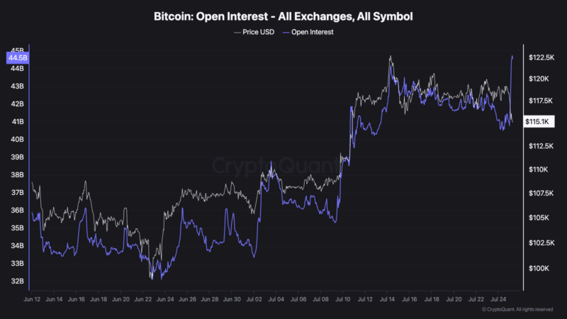 Bitcoin Open Interest Sets New Record As Price Plunges To $115,000
