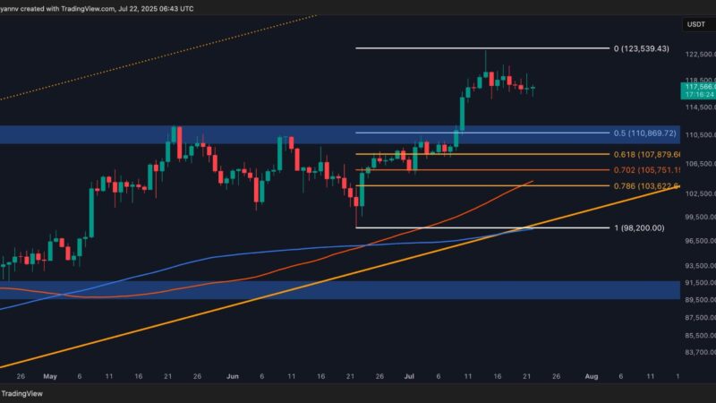 Bitcoin Price Analysis: Key Factors Point to a BTC Correction Ahead