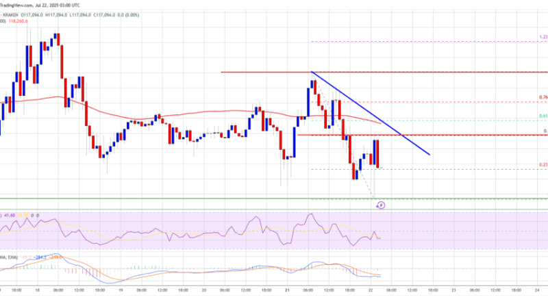 Bitcoin Price Consolidates—Is a Downside Correction on the Horizon?