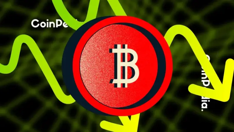 Bitcoin Price Crash Coming? Analyst Predicts 80% Drop Soon