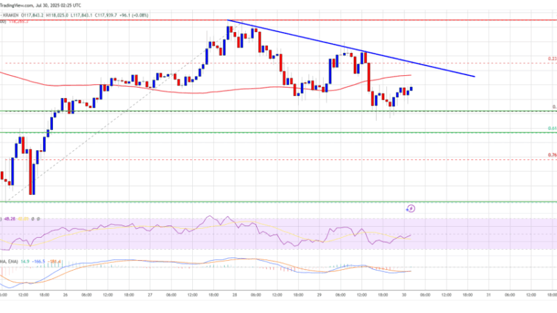 Bitcoin Price Holds Steady – Range-Bound Action Dominates Price Chart