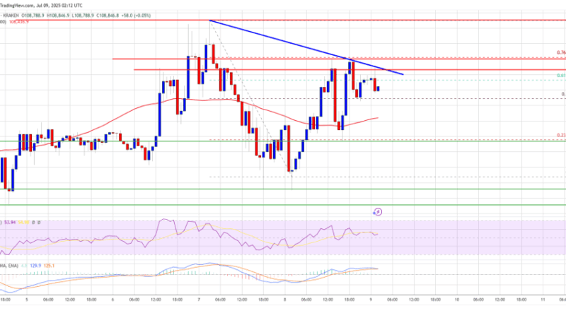 Bitcoin Price Respects Support Zone — Bulls Eye Fresh Rally
